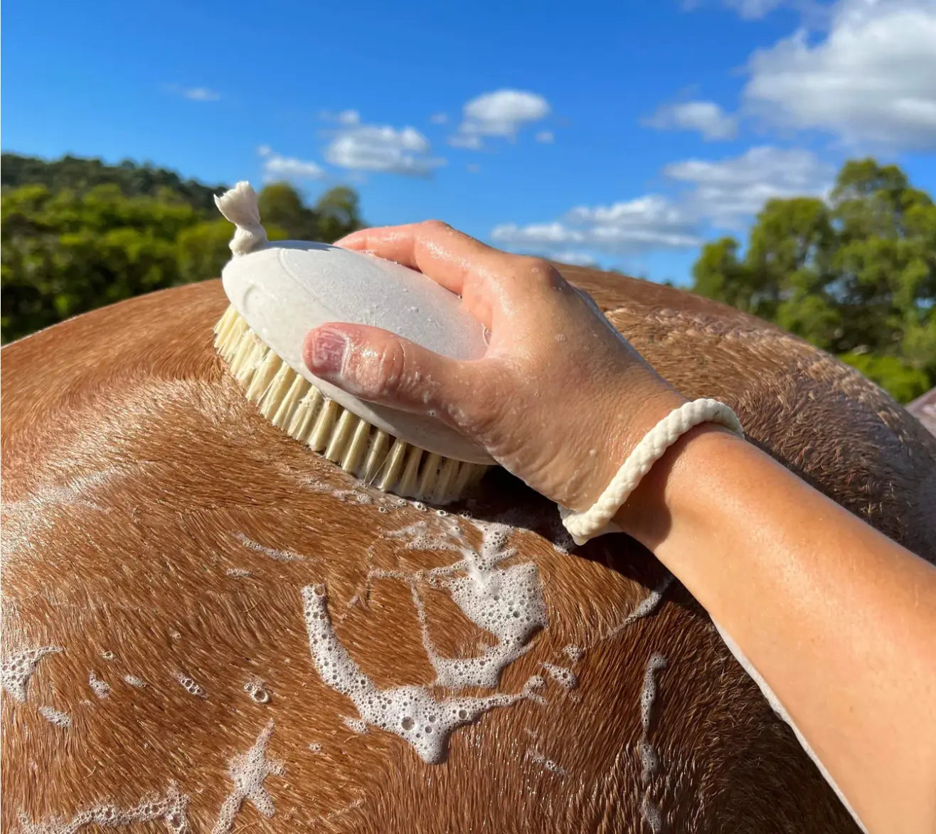 Hairy Pony Wash Bay Brush Hairy Pony