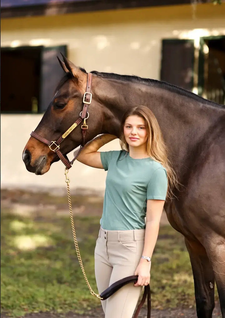 Equisitehallie