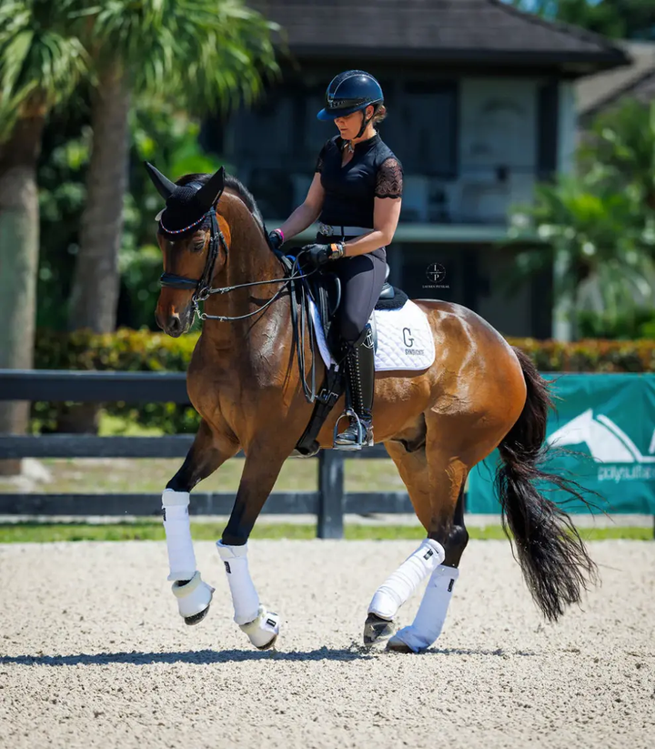 HEcharlie#color_black