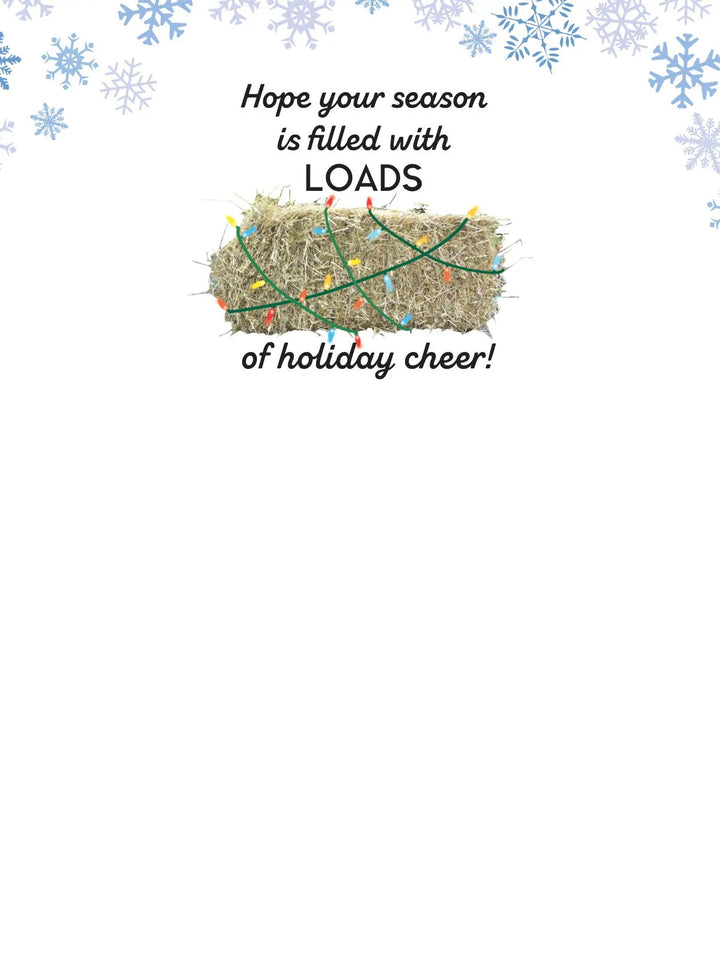 Horse Boxed Christmas Cards (Set of 8): Hay Truck Christmas Lights Horse Hollow Press