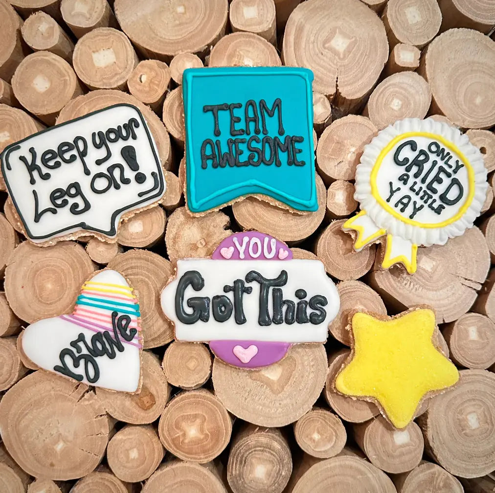 Horse Cookies - Motivation Pack Blissful Equestrian