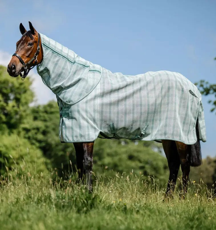Horseware Newmarket Plus Fly Sheet - Dynasty Green Horseware