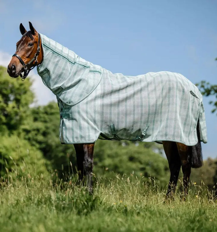 Horseware Newmarket Plus Fly Sheet - Dynasty Green Horseware