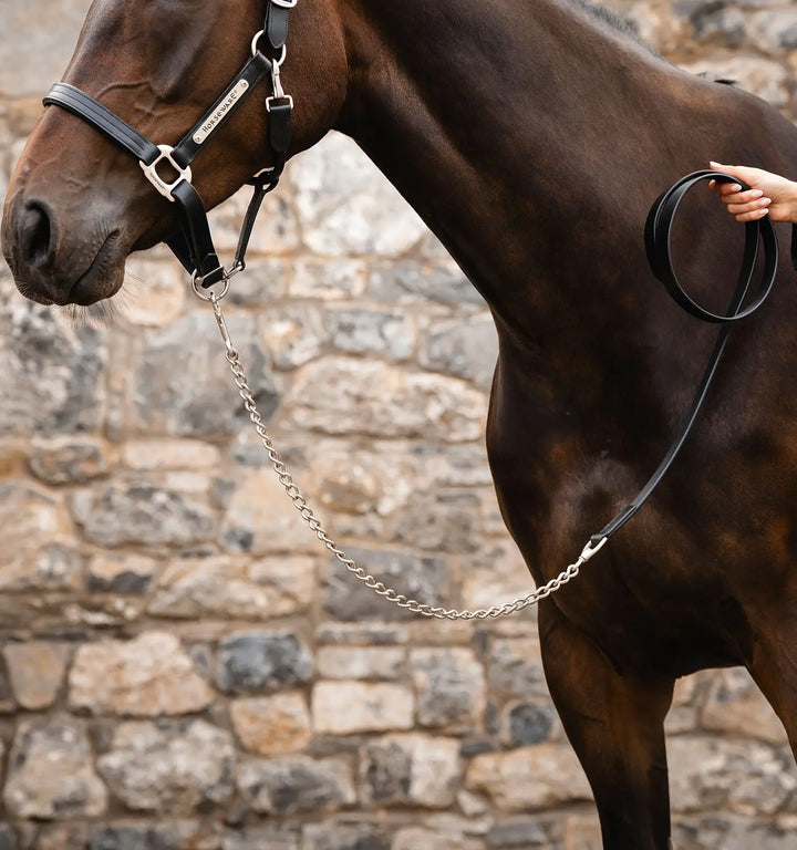 Horseware Signature Lead with Chain - Black