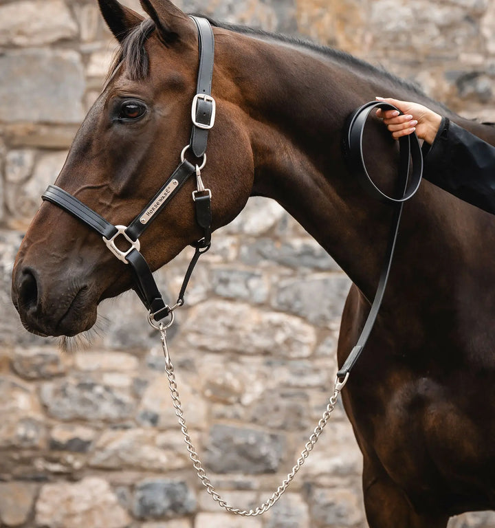 Horseware Signature Lead with Chain - Black (2)