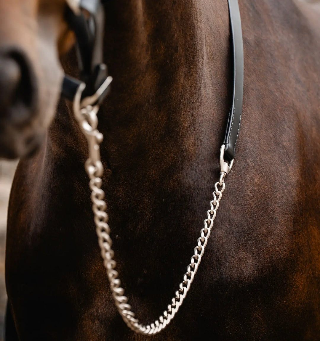 Horseware Signature Lead with Chain - Black chain and snap closeup