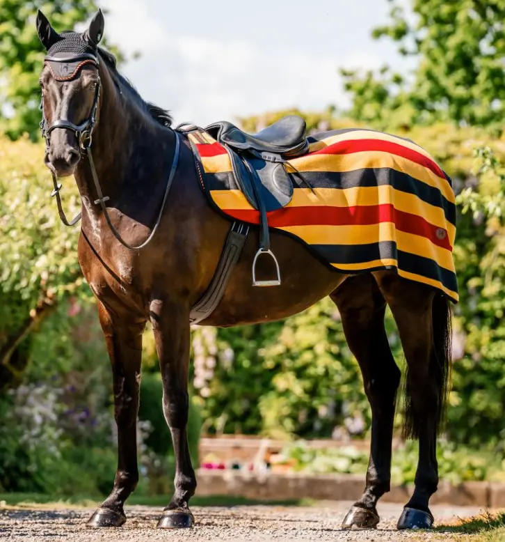 Horseware® Newmarket Exercise Sheet Horseware