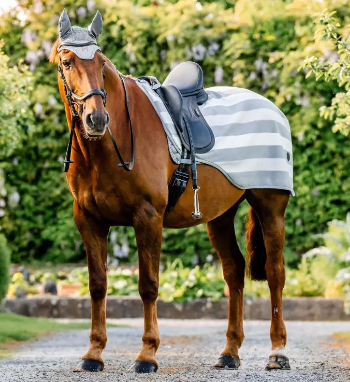 Horseware® Newmarket Exercise Sheet Horseware