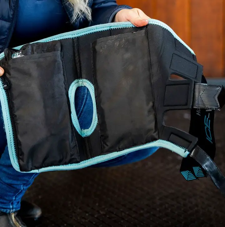 Ice Vibe® Hock Wraps Horseware