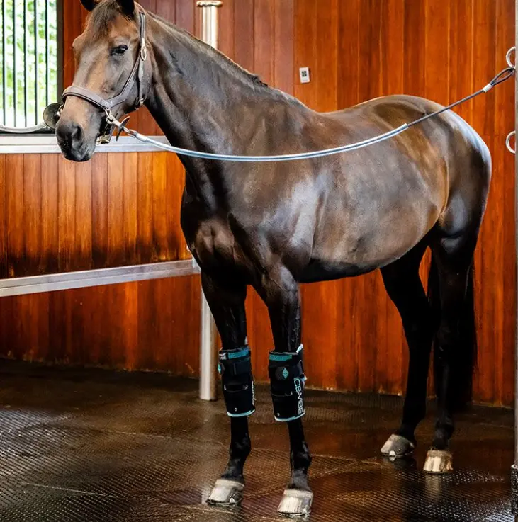 Ice Vibe® Knee Wraps Horseware