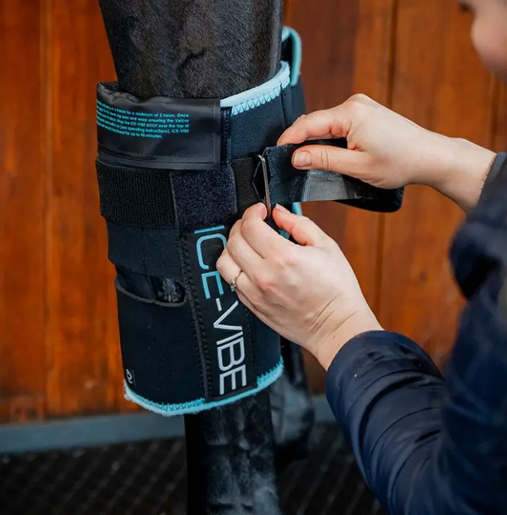Ice Vibe® Knee Wraps Horseware