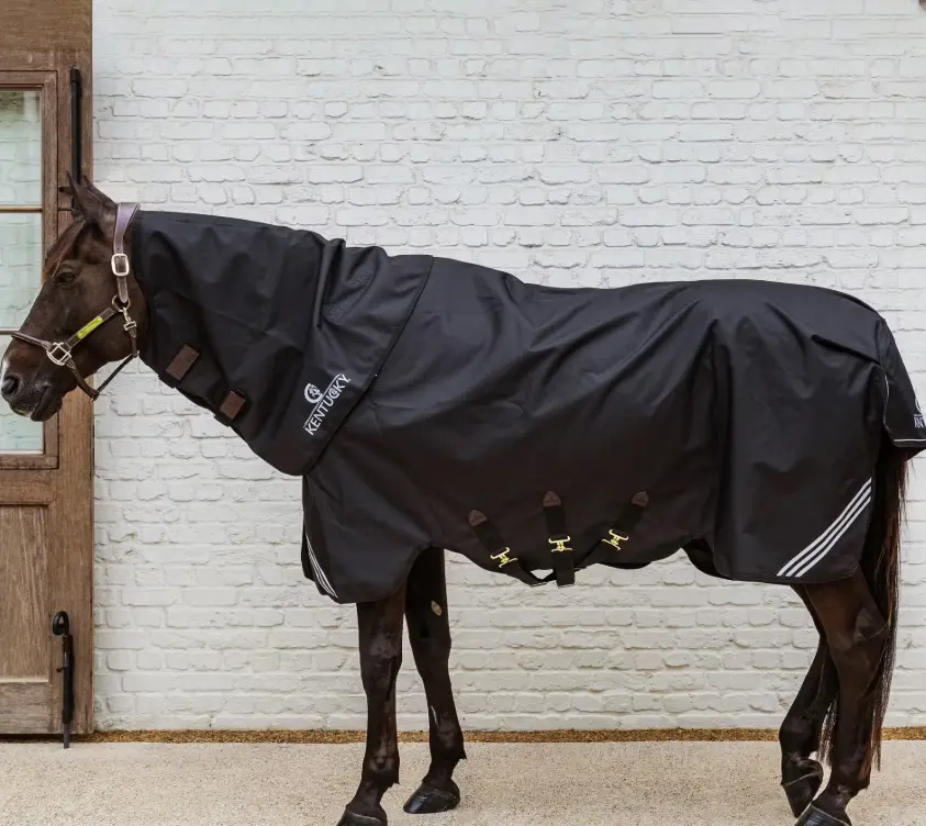 Kentucky All Weather Waterproof Comfort Neck Hood (0g - 200g) Kentucky Horsewear