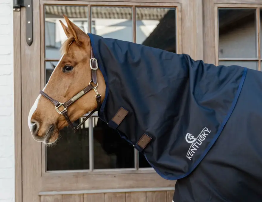 Kentucky All Weather Waterproof Comfort Neck Hood (0g - 200g) Kentucky Horsewear