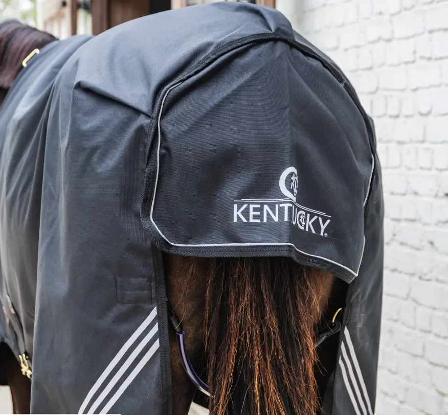 KYAllWWaterComfort#color_black