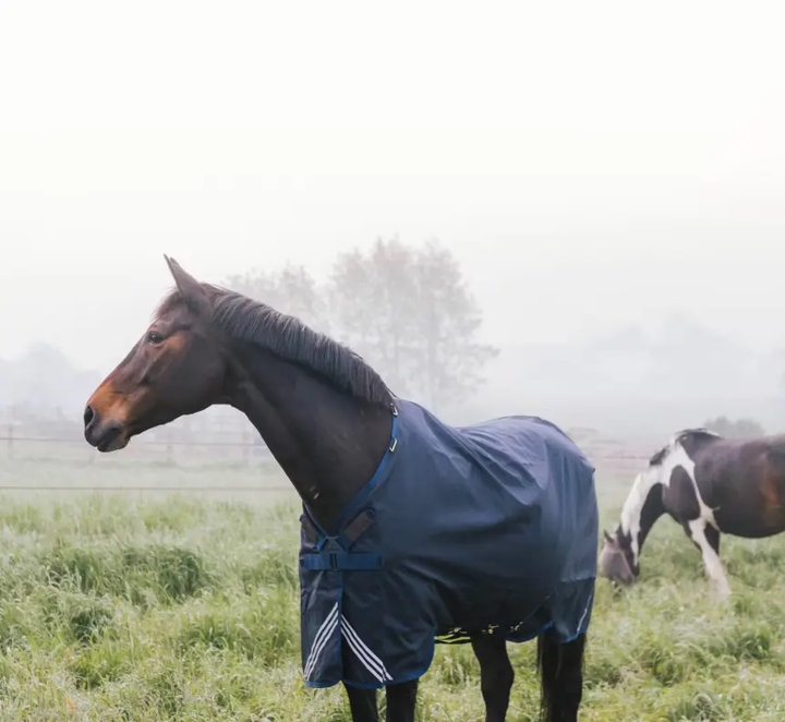 KYAllWWaterComfort#color_navy