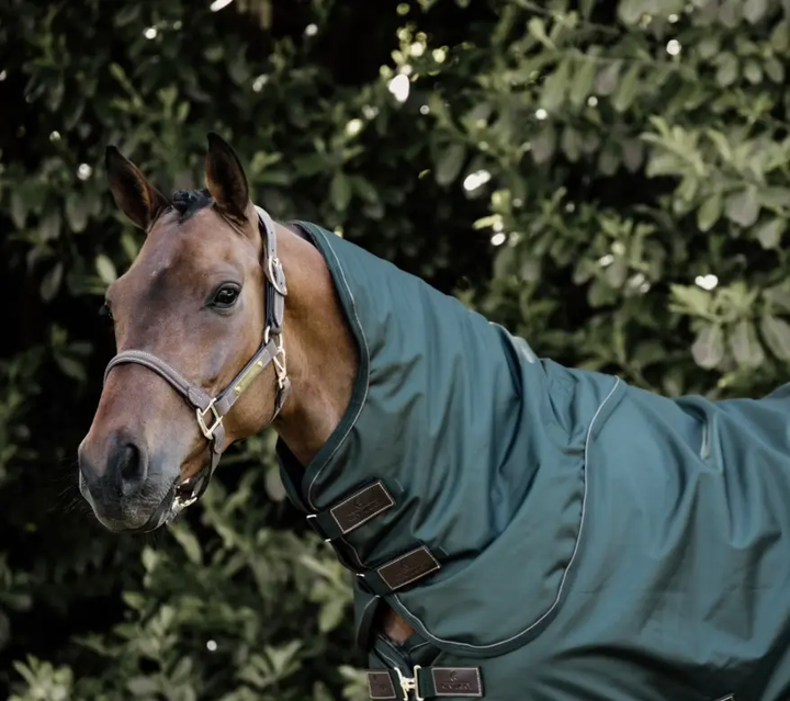 Kentucky All Weather Waterproof Pro Neck Cover #color_forest-green