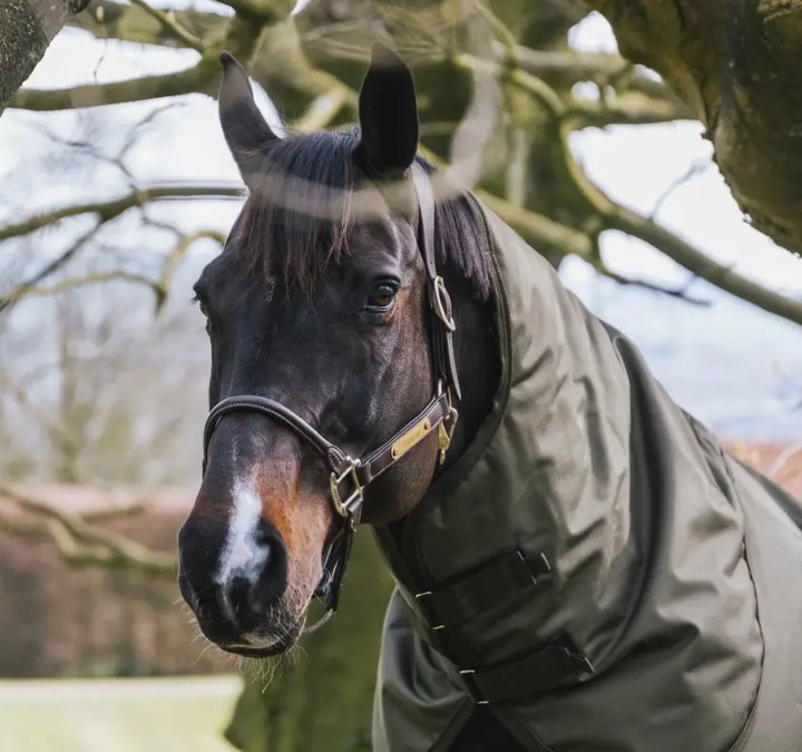 Kentucky All Weather Waterproof Pro Neck Cover #color_khaki