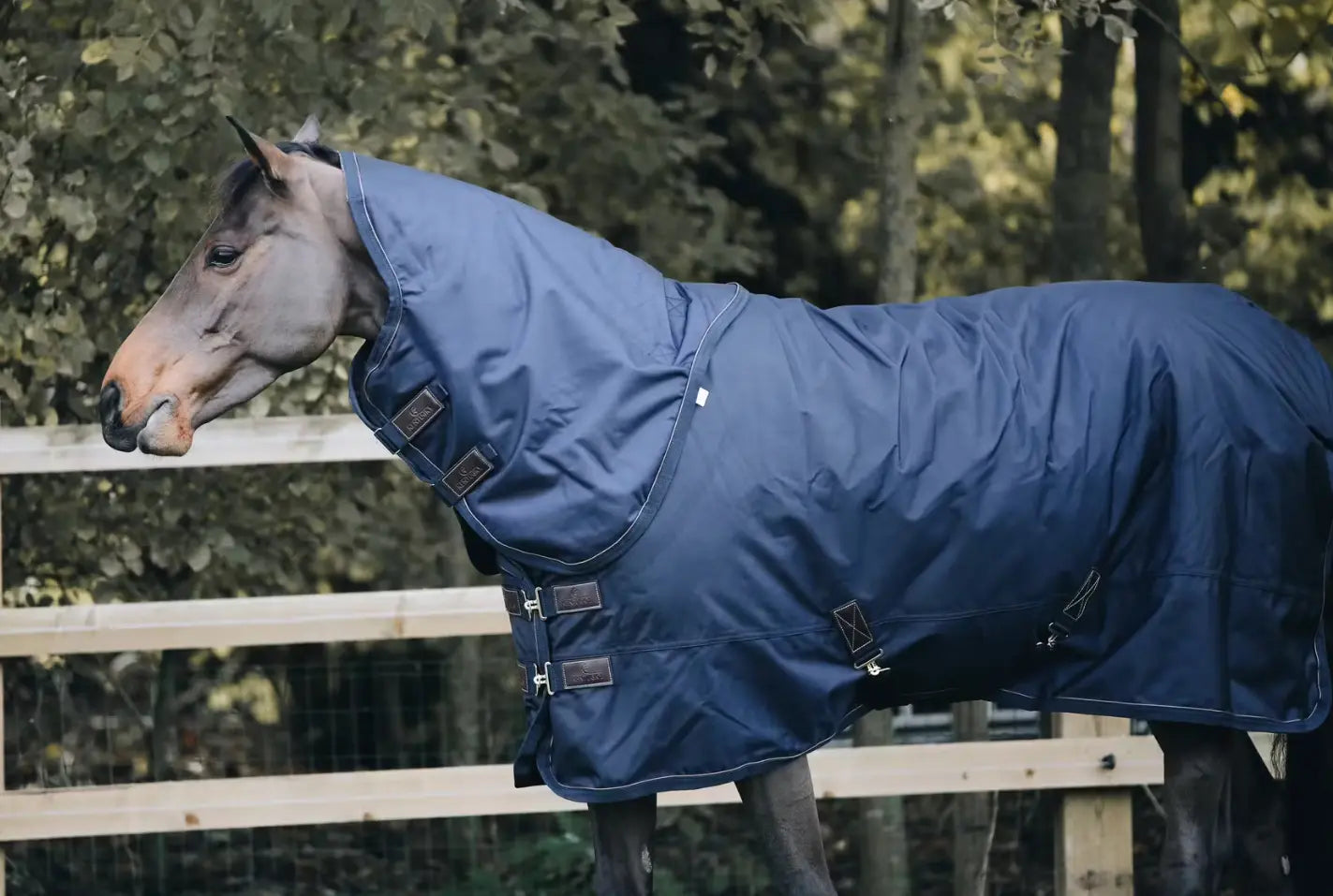 Kentucky All Weather Waterproof Pro Neck Cover (Navy) Kentucky Horsewear