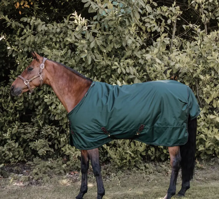 KYallWeatherWPro#color_forest-green