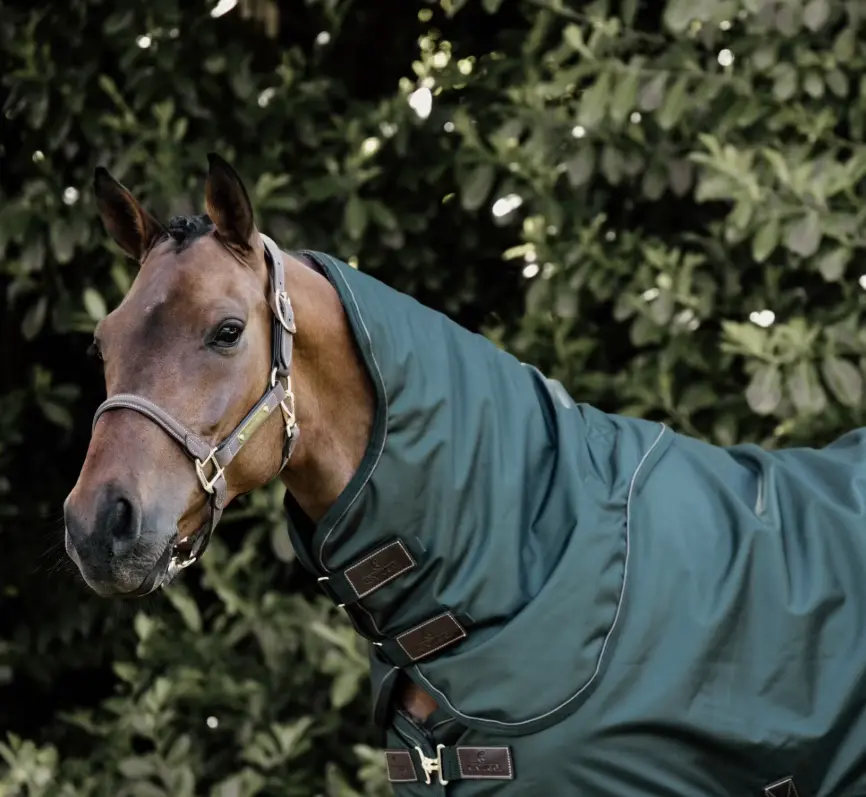 KYallWeatherWPro#color_forest-green