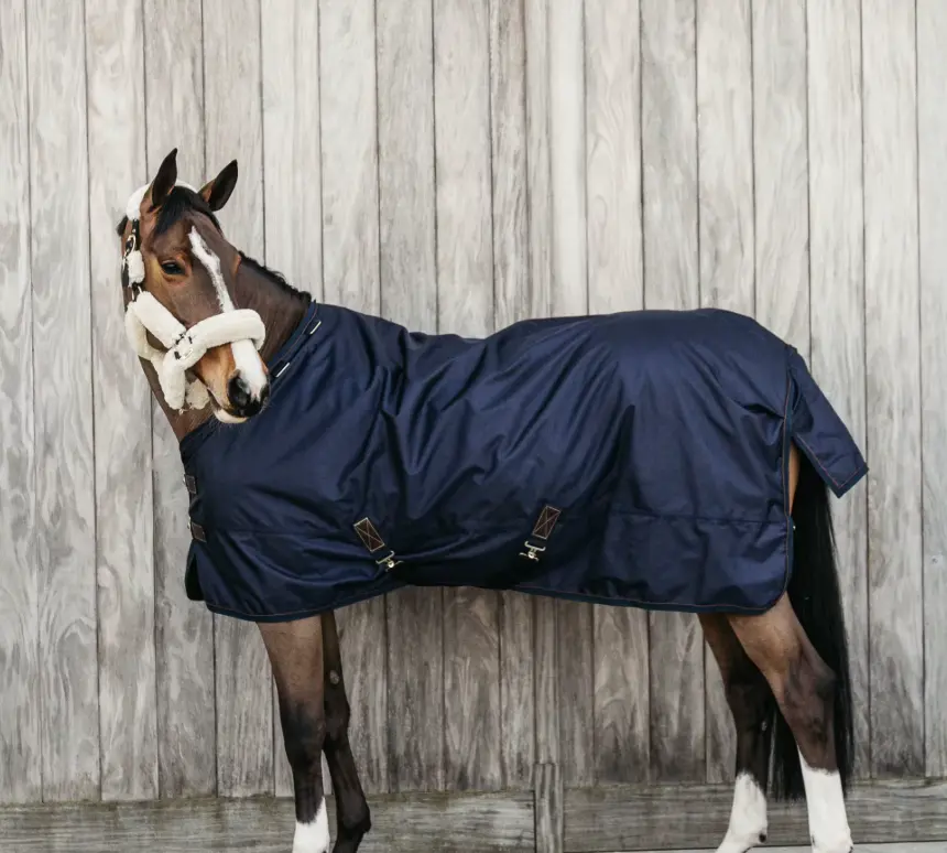 KYallWeatherWPro#color_navy