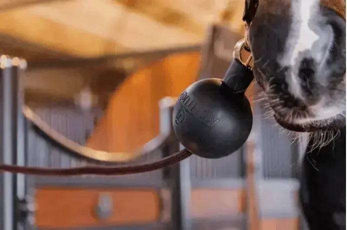 Kentucky Cross Tie Rubber Ball (Single) Kentucky Horsewear