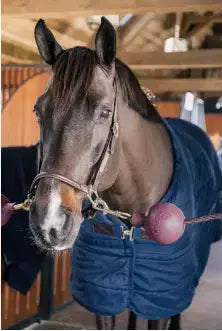 cross tie ball