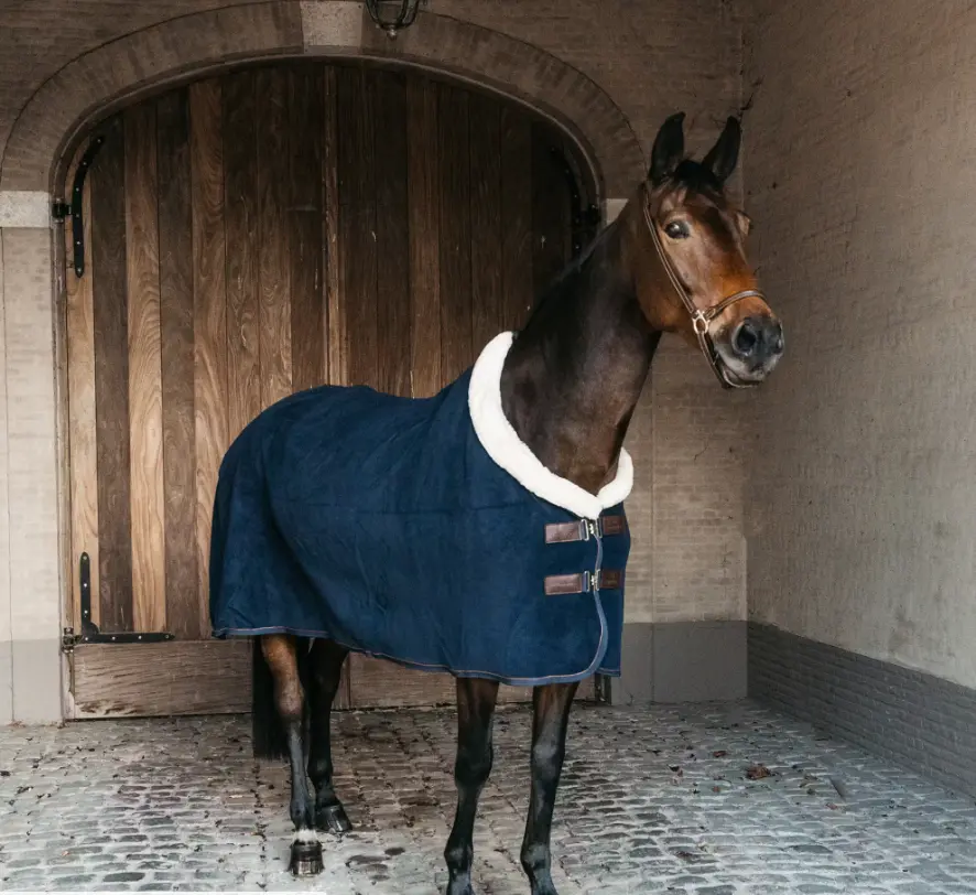 Kentucky Fleece Show Rug Heavy Kentucky Horsewear