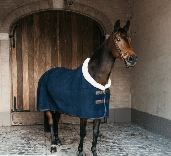 Kentucky Fleece Show Rug Heavy Kentucky Horsewear