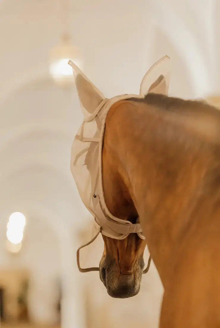 classicearsnose