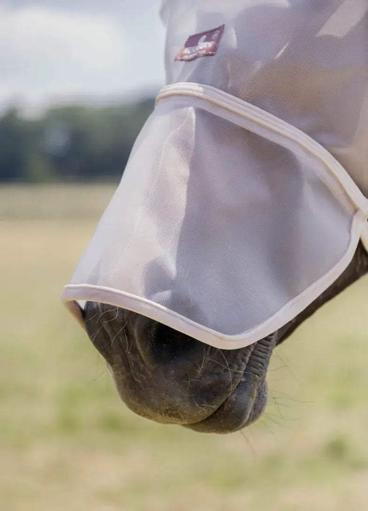 classicearsnose