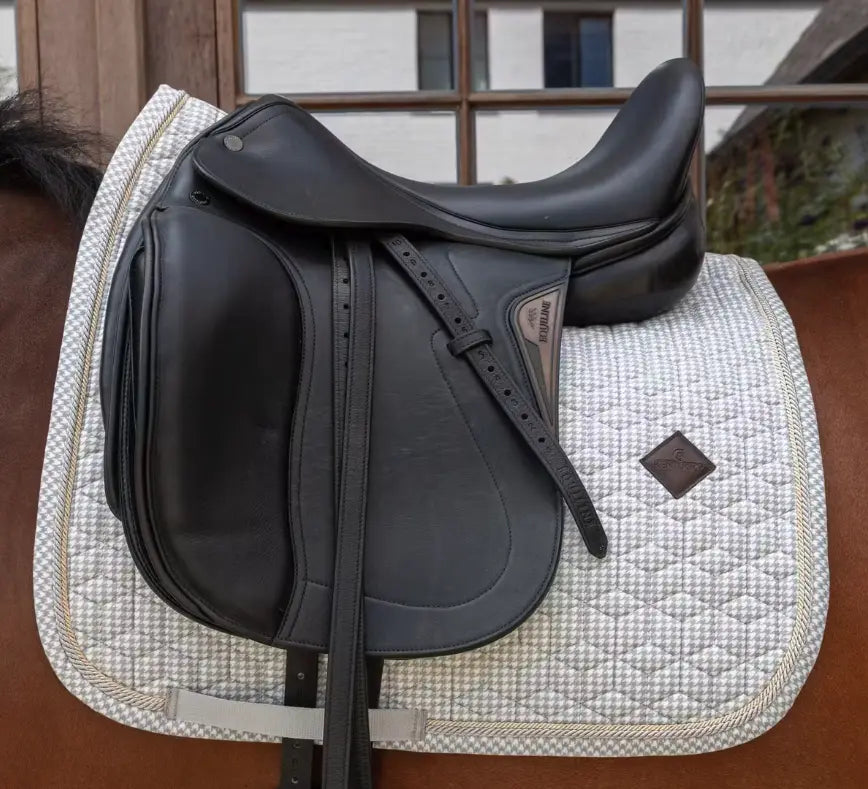 KYVelvetPrinting Dressag#color_grey-white