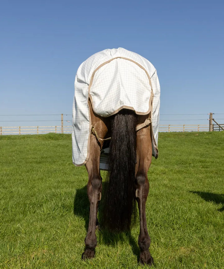 Kentucky Horsewear Sweet Itch &amp; Fly Summer Comfort Rug Kentucky Horsewear