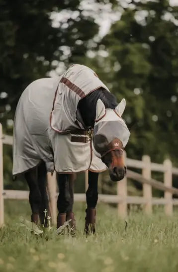 Kentucky Mesh Fly Rug Classic with Neck Cover Kentucky Horsewear
