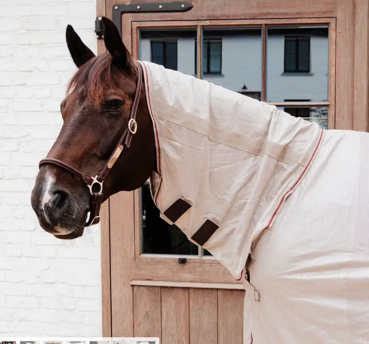 Kentucky Mesh Fly Rug Comfort Classic with Detachable Neck Cover and Belly Kentucky Horsewear