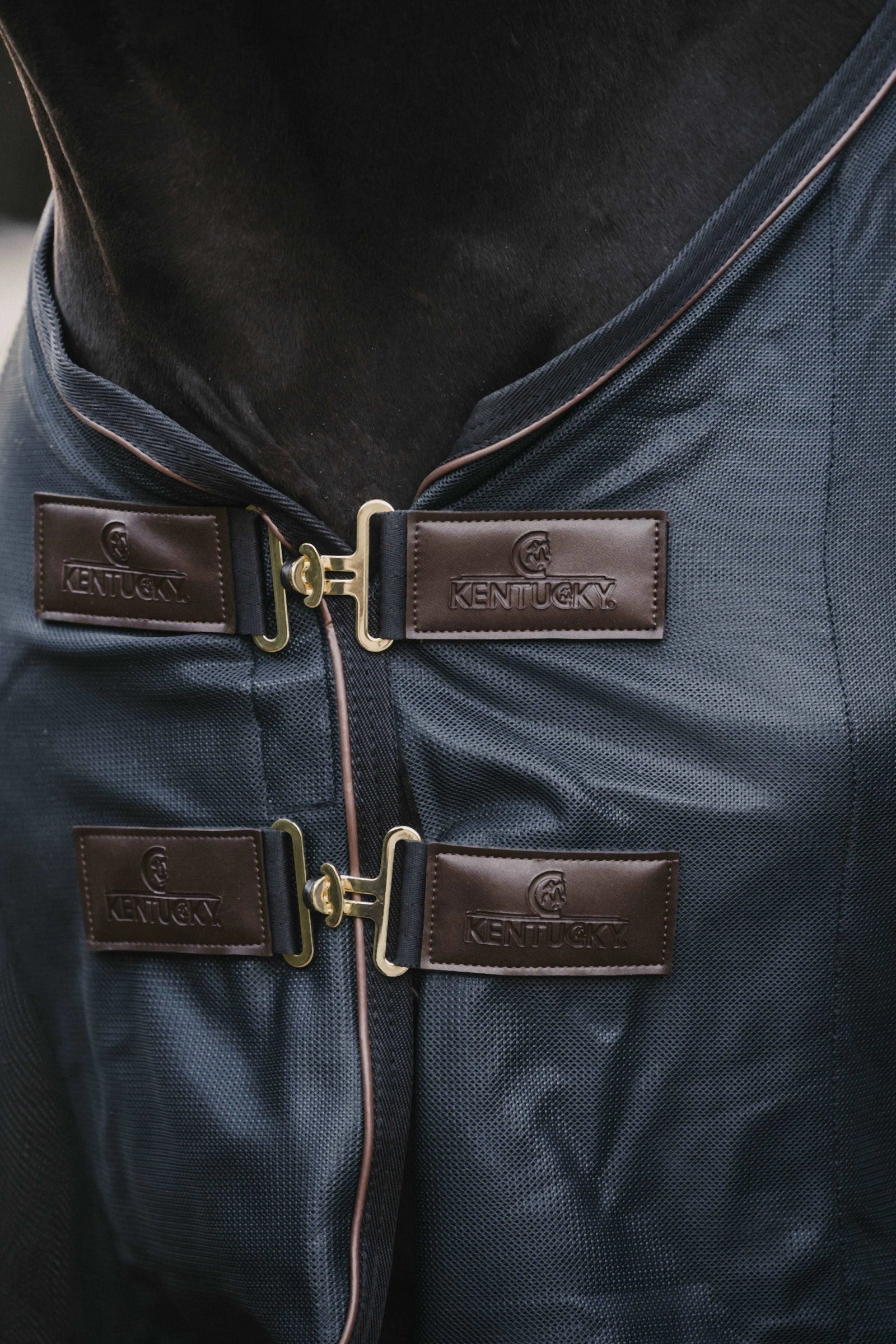 Meshflysheet#color_navy