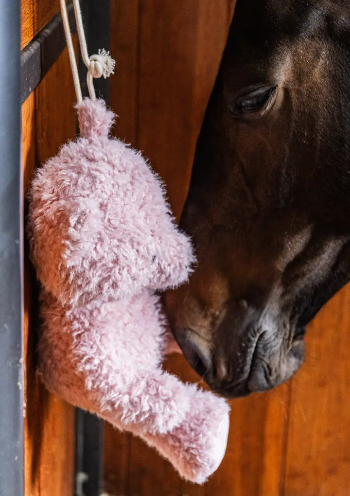 Kentucky Relax Horse Toy - Teddy Bear Interactive Kentucky Horsewear