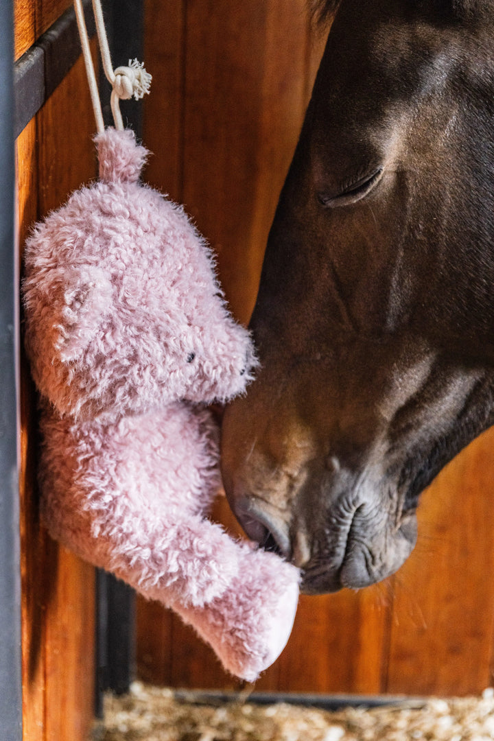 Kentucky Relax Horse Toy - Teddy Bear Interactive Kentucky Horsewear