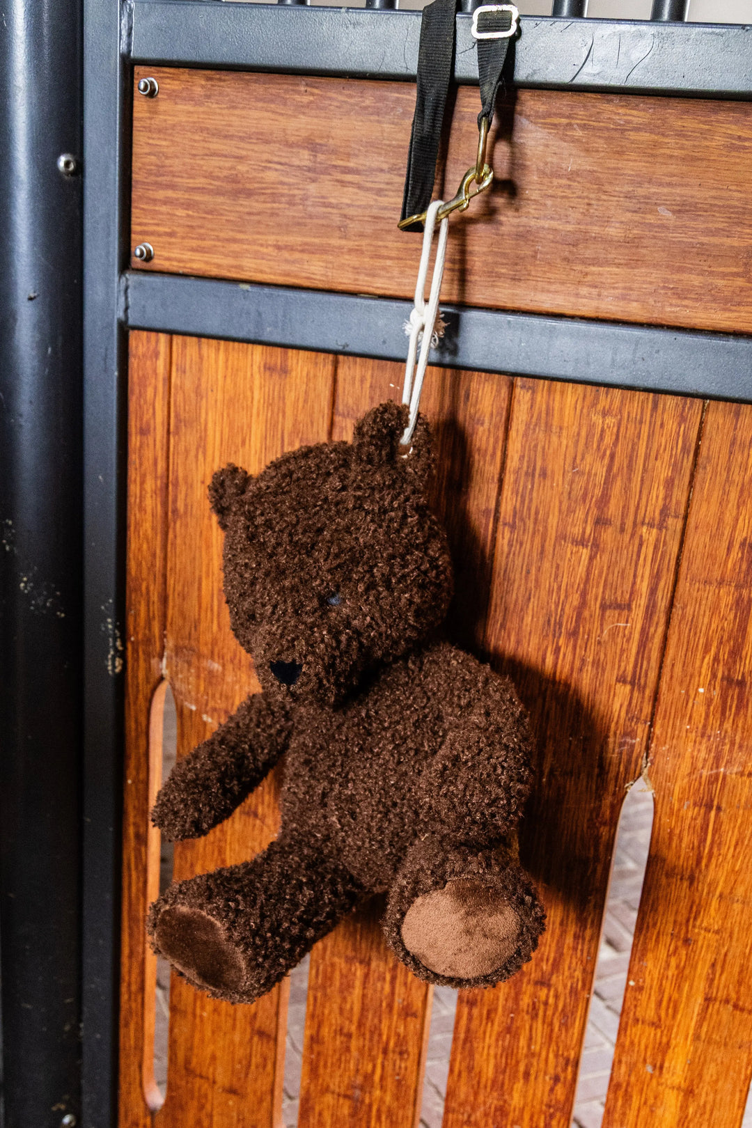Kentucky Relax Horse Toy - Teddy Bear Interactive Kentucky Horsewear