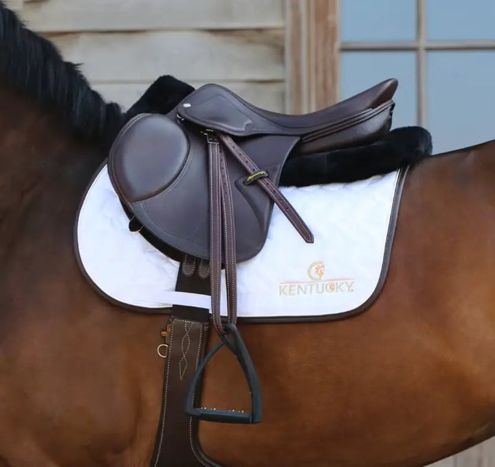 Kentucky Sheepskin Half Pad Anatomic Absorb Kentucky Horsewear # color_black