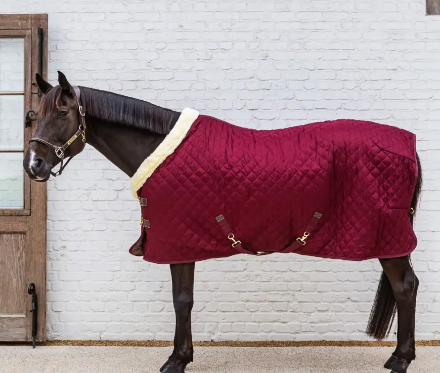 KYshowRug#color_bordeaux