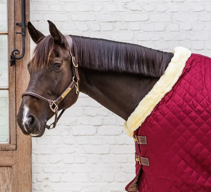 KYshowRug#color_bordeaux