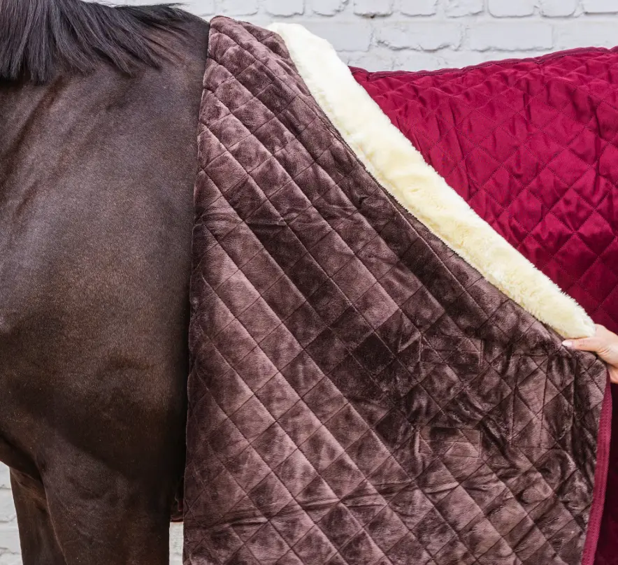 KYshowRug#color_bordeaux