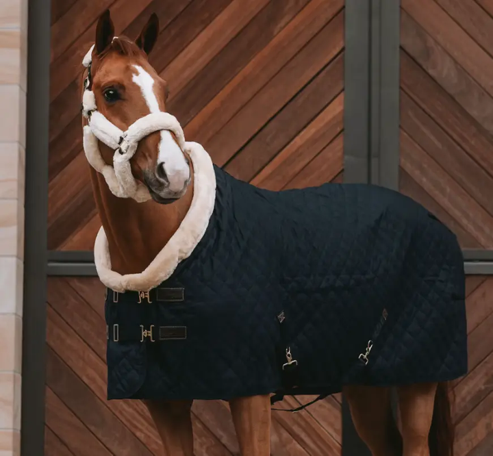 KYshowRug#color_navy