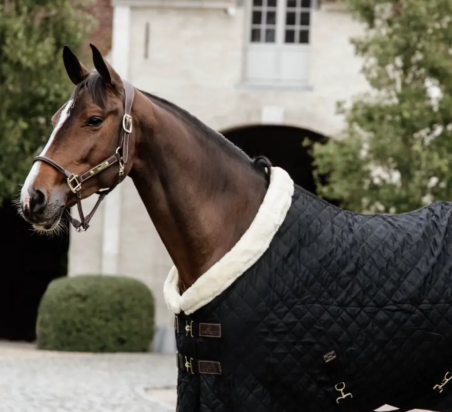 KYshowRug#color_black