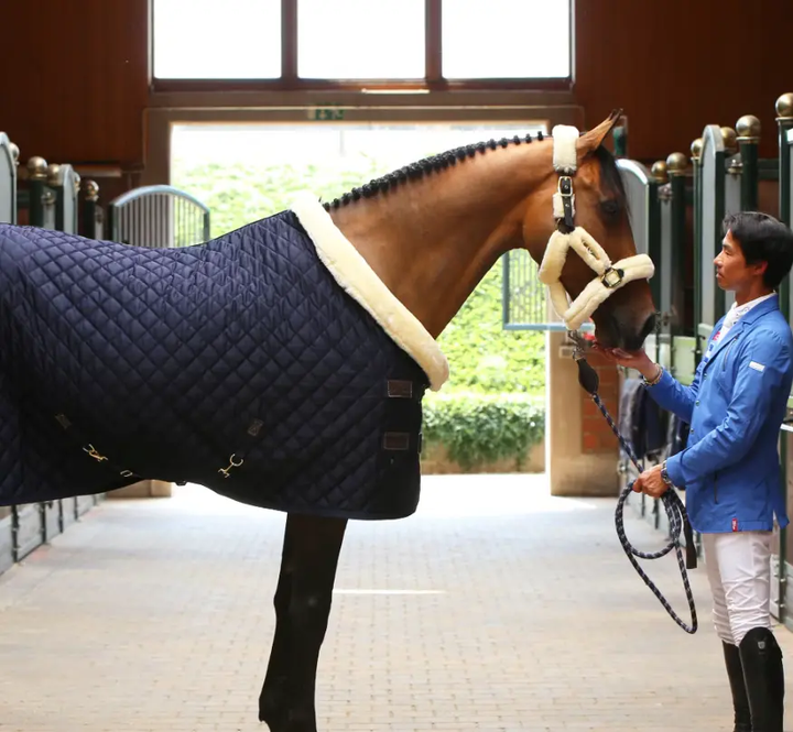 KYshowRug#color_navy