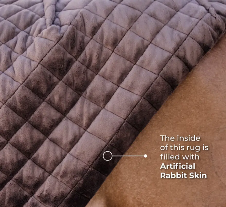 KYshowRug#color_forest-green