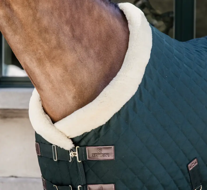 KYshowRug#color_forest-green