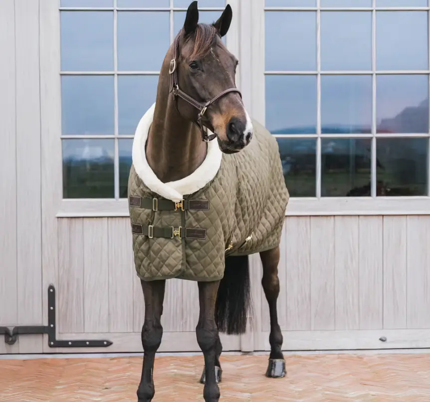 KYshowRug#color_khaki