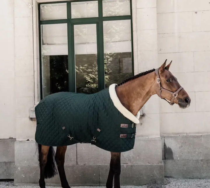 KYshowRug#color_forest-green